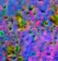 Cr&eacute;dit : NASA/JPL/University of Arizona/Ames